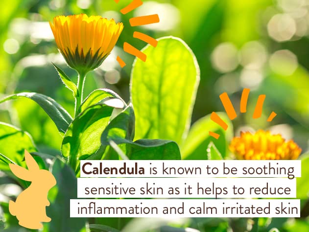 Babo Botanicals Moisturizing Oat & Calendula Miracle Face Cream - Shea Butter - For Dry or Sensitive Skin - For all ages - Vegan